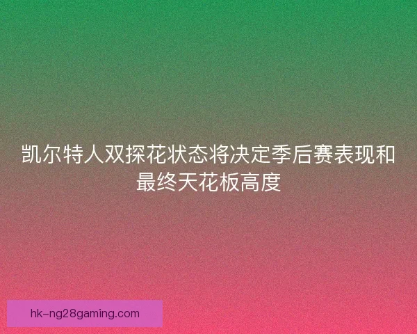 凯尔特人双探花状态将决定季后赛表现和最终天花板高度